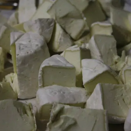 Les Ecureuils Farm stay *