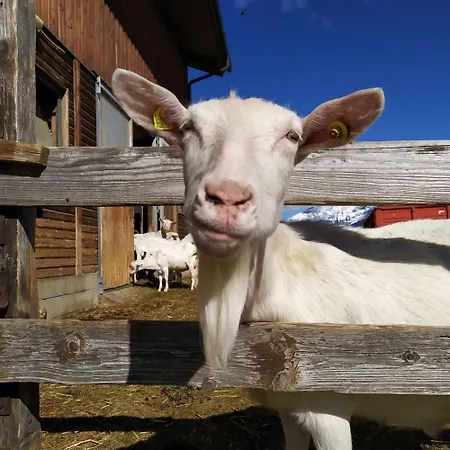 Les Ecureuils Çiftlik konaklama