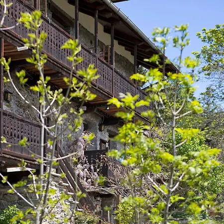 Les Ecureuils * Saint-Pierre