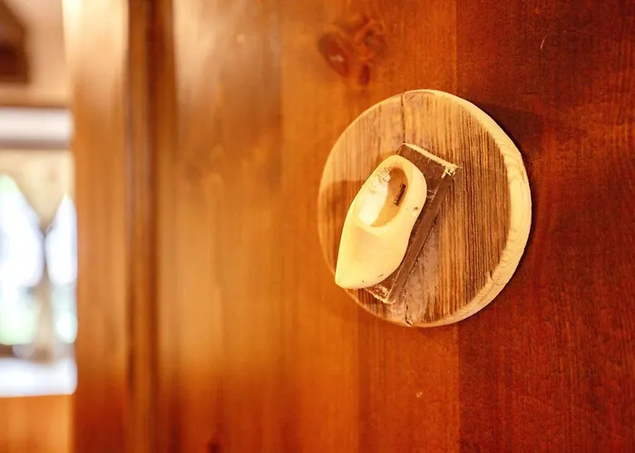 Les Ecureuils * Saint-Pierre